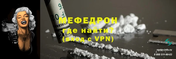 мдпв Бородино