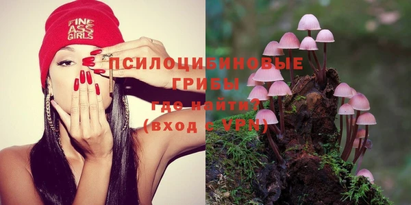 мдпв Бородино