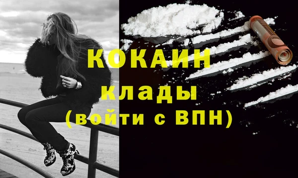сатива Беломорск