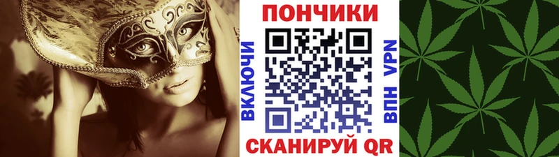 Шишки марихуана гибрид  hydra вход  Олёкминск  закладки 